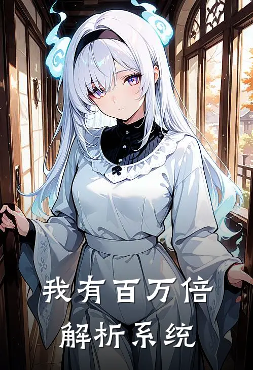 我有百万倍解析系统