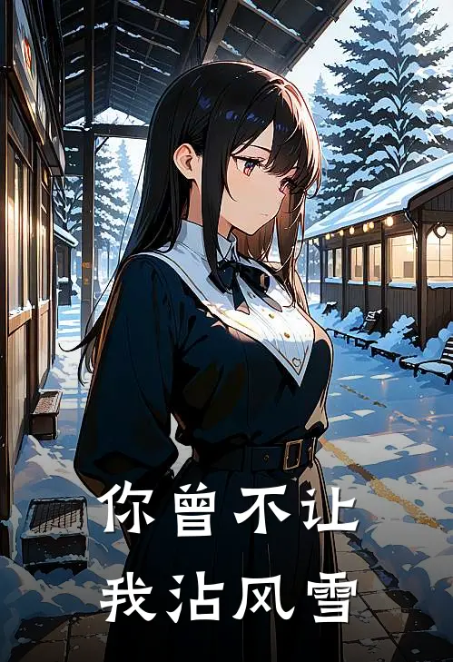 你曾不让我沾风雪