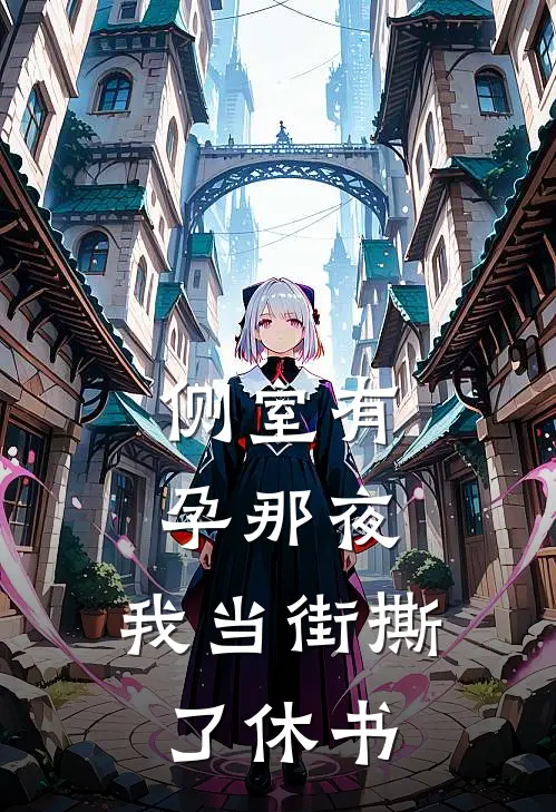 侧室有孕那夜，我当街撕了休书