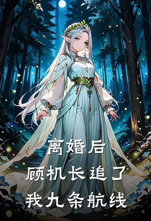 离婚后，顾机长追了我九条航线